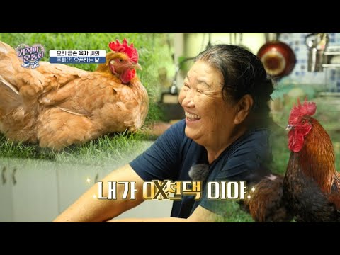 [세란병원과 함께하는 기적의 운동화 시즌2 13회] 지팡이 없이도 편안해진 걸음걸..