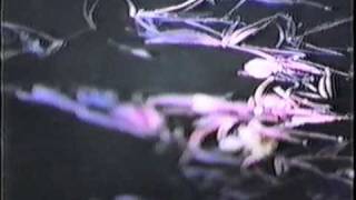 The Tuss - Rushup i bank 12 - HQ Music Video