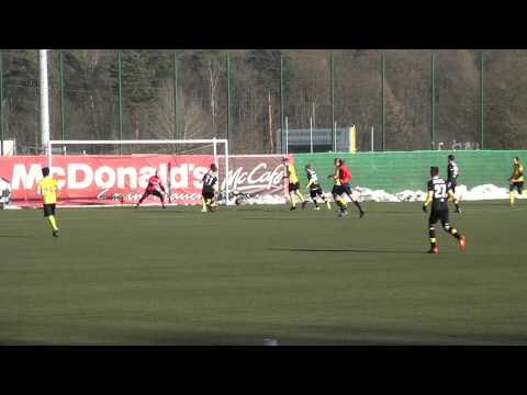 VFC Plauen - SpVgg. Bayreuth 0:3  - Tore -