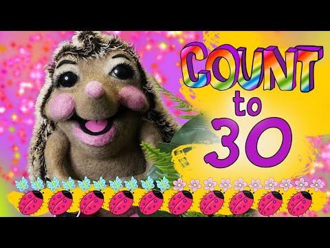Count to 30 with Missy May Hedgehog // KIDS learn English numbers