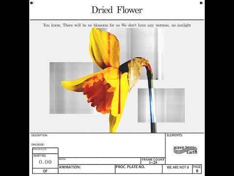 Video thumbnail for ​​dried flower