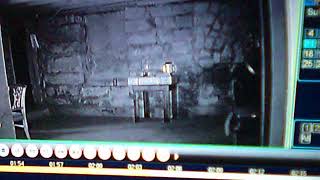 Central Paranormal Researchers KC,  capture a full body of light forming bottom of basement stairs!
