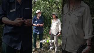 They Threw 12,000 Tons of Orange Peels in the Forest - 20 Years Later This Happens