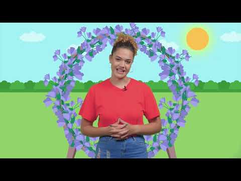 Episodju Nru 184 – Id-disinn