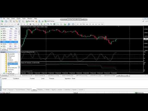 Video Raptor HTF Stochastic