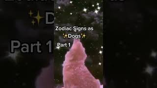 Zodiac Signs TikTok | Zodiac Signs as Dogs #shorts #Zodiac