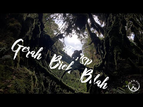 download lagu mp3 mp4 Bieh, download lagu Bieh gratis, unduh video klip Bieh