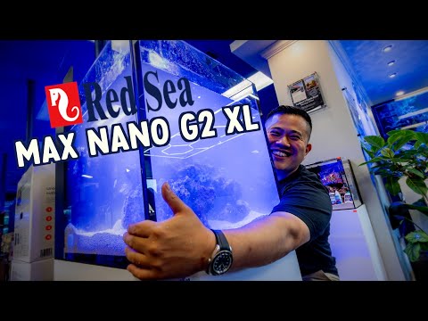 SETUP THE NEW RED SEA MAX NANO G2 XL WITH US!