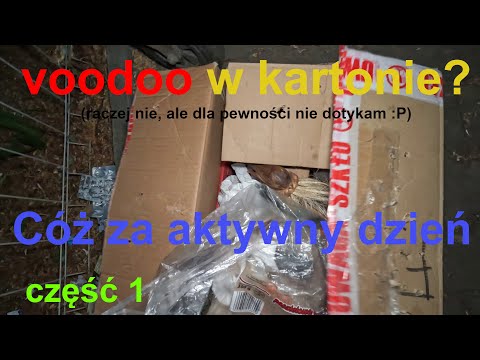 [#1] eko-chrust workowany, darmowa kora i voodoo w kartonie (cóż to był za aktywny dzień część 1)
