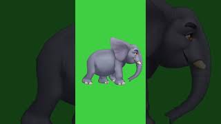 Download lagu Green Screen Elephant Walking For Cartoon Creation Video  Not Copyright Free To Use #viral_short mp3