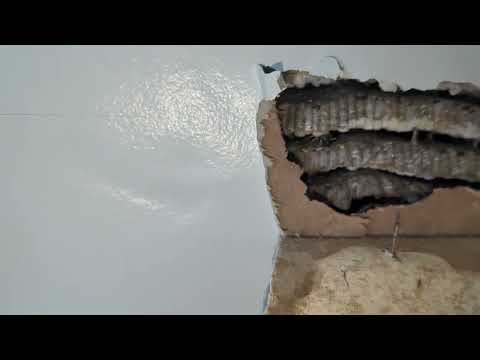 Yellow Jackets Lurking Inside the Wall in Spotswood, NJ