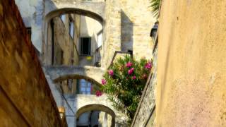 Pyotr Ilyich Tchaikovsky - Souvenir de Florence for String Orchestra Op. 70 - (2) Adagio