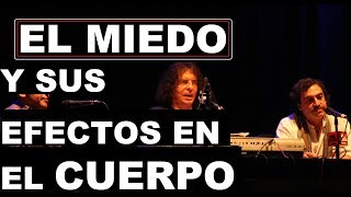 Te Hare Mal Music Video