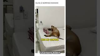 A CARA DELE 😂 #vídeosvirais #conteudoviral #engraçado