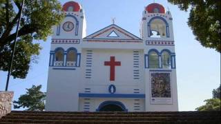 I Ran over the taco bell dog (parodia Mexico)