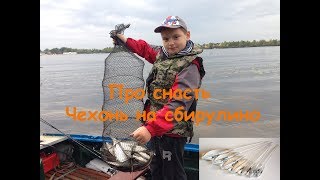 Ссылка