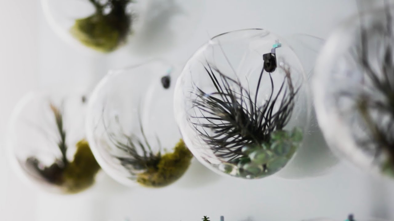 Tour the issuu Office: issuu Generators Summit