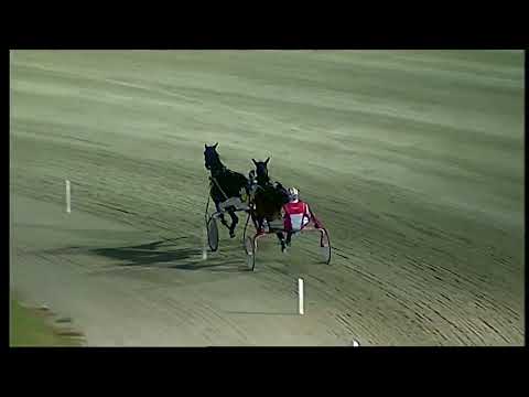 Napoli Trotto 18/06/2022 - prova pubblica con galoppino