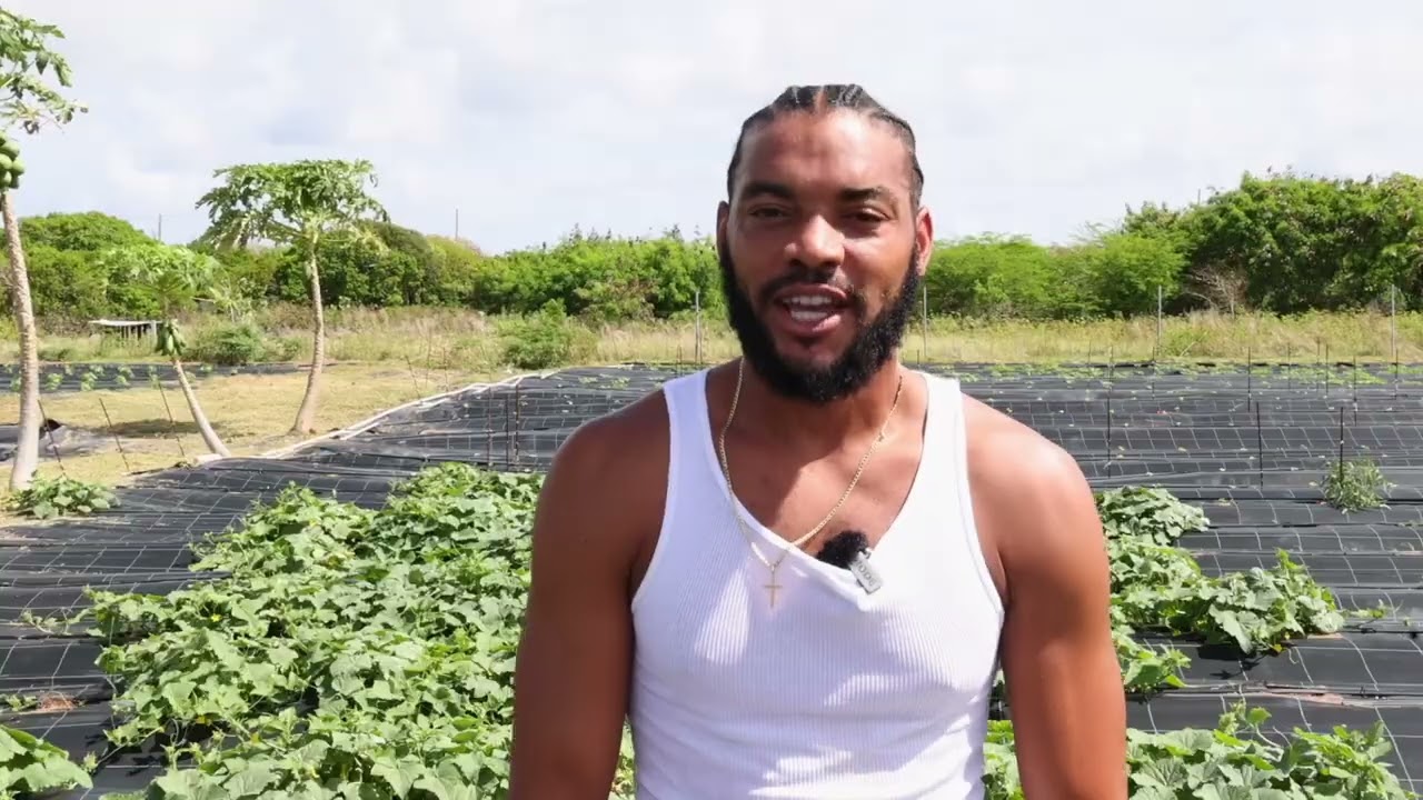 Anguilla Farmer Testimonial, Shane Smith: OECS ILM Project