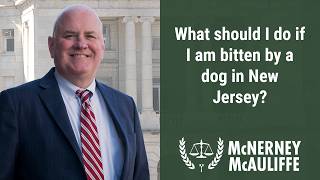 What should I do if I am bitten by a dog in New Jersey? | Daniel P. McNerney, Esq.