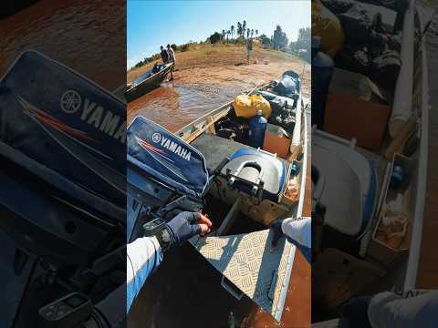 Lago das Brisas em Buriti Alegre Goiás 🎣 #pescaria