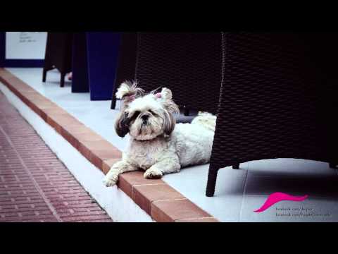 Der Plot - Däumchen drehen (Concorde Exklusive Exklusive)