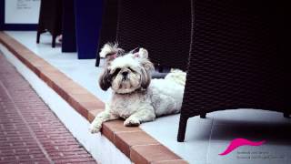 Der Plot - Däumchen drehen (Concorde Exklusive Exklusive)