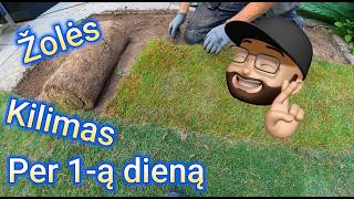 Nauja žolė per vieną dieną...