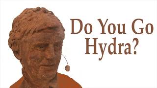 Do You Go Hydra?
