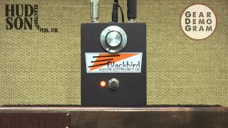 Video thumbnail for HUDSON ELECTRONICS UK :: Blackbird :: @GearDemoGram by GDG Isaac