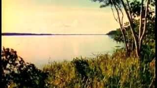 MARTIN DENNY "Jungle Flower" (Giaguaro 001)