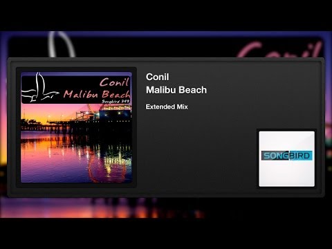 Conil - Malibu Beach