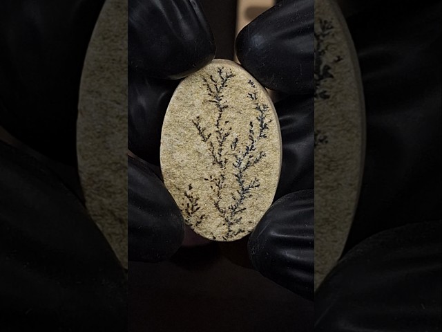 حجر شجري اكاسيد منغنيز طبيعي