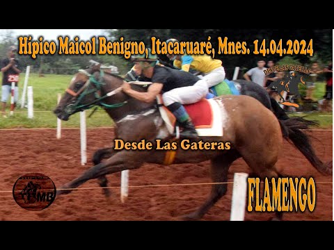 FLAMENGO - HIPICO MAICOL BENIGNO, ITACARUARE, MISIONES. 14.04.2024