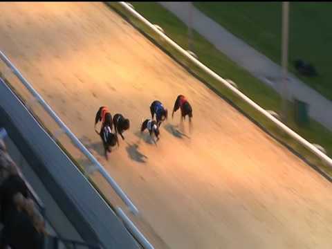 2017 WILLIAM HILL CLASSIC FINAL - T5 DROOPYS COUNTRY