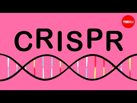 hpv kúra crispr