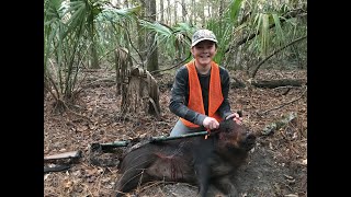 How To Hunt Hogs on Florida Public Land