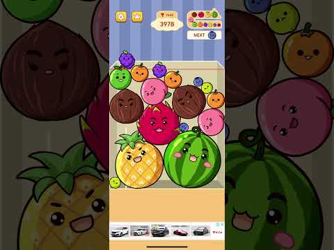 Watermelon Drop: Fruit Merge