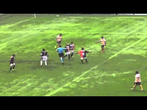 FEDERAL B / LASTENIA 1 - 4 AMALIA