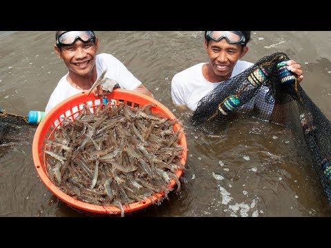 Ang lahat ng mga pinaka-epektibong pagsasanay para sa pagbaba ng timbang Na nagawang mawala ang timbang sa hulahupa