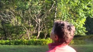 Mourning and Milestones: Book Trailer, "Author Introduction"