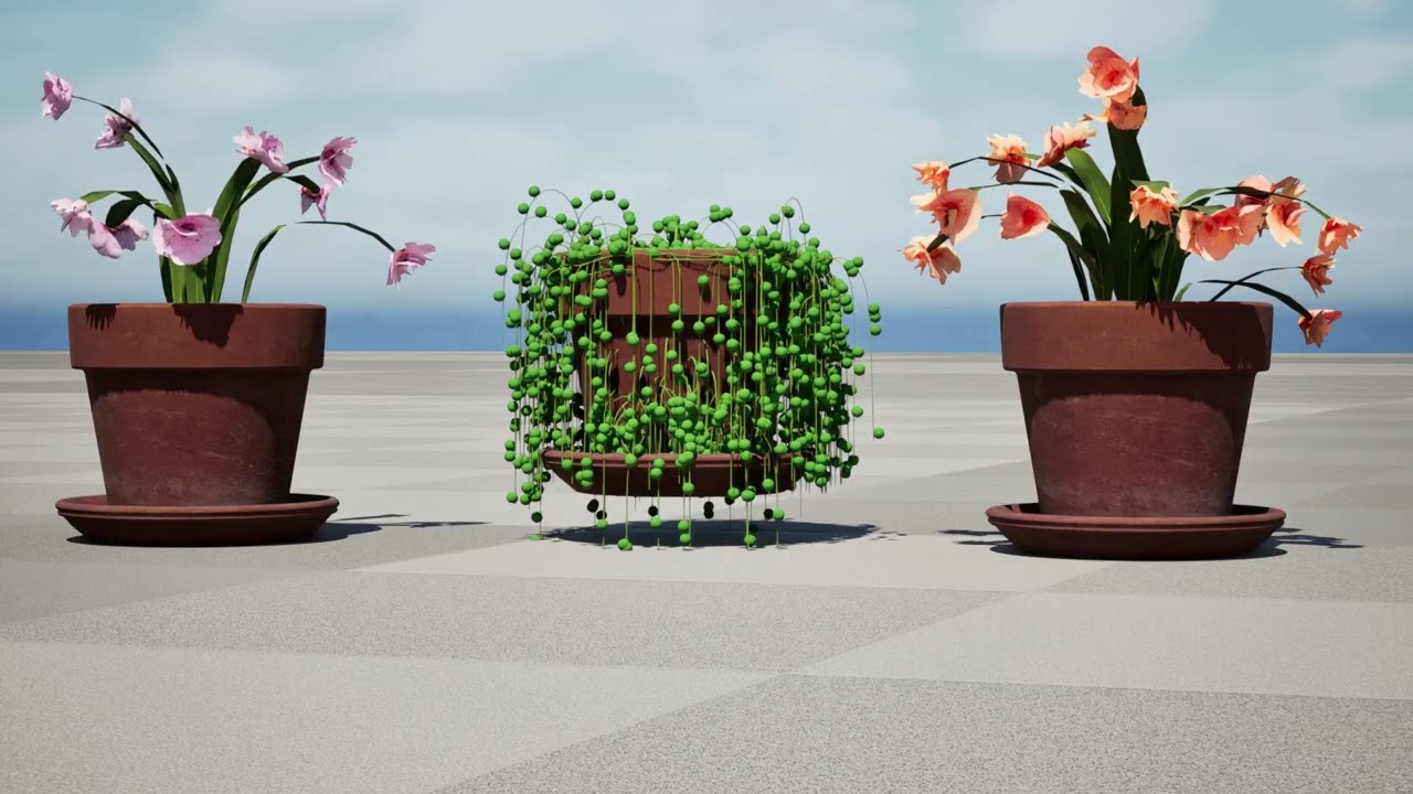 蟹爪兰仙人掌 3D 模型