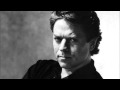 Robert Palmer - Woman You're Wonderful