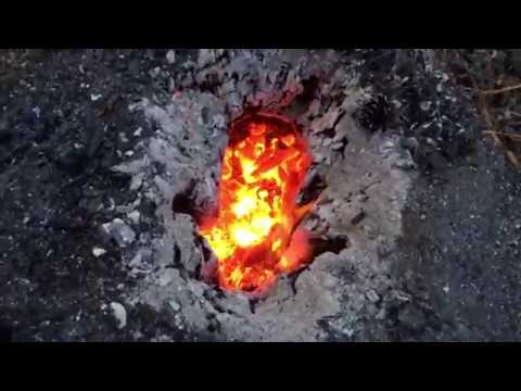 🔥🌳 Burn a Stump Instead of Grind, with a Shop Vac Teach a Man to Fish