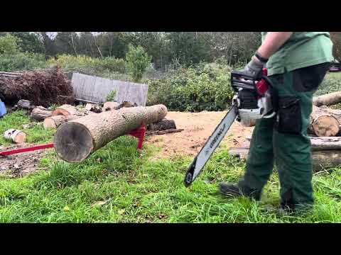 Brennholz - Stämme sägen mit Greencut GS750x