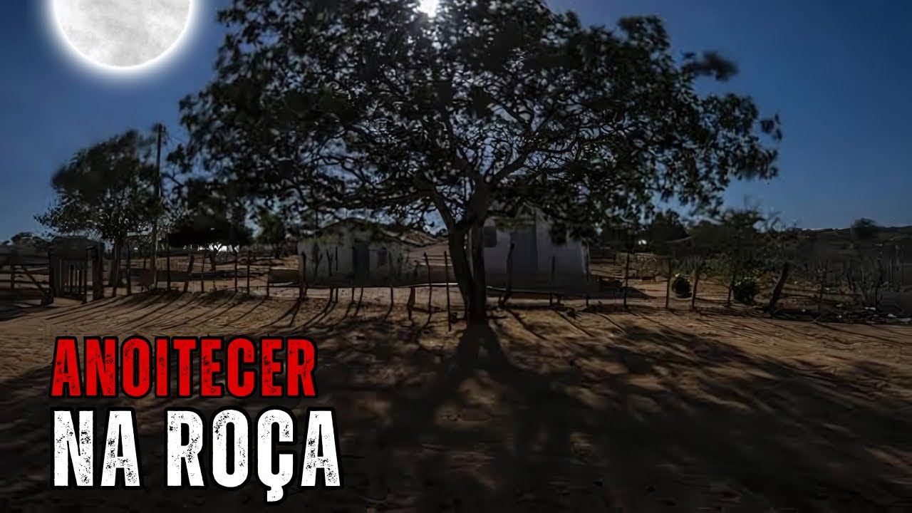 A Peleja Do Meu Bisavô Severino No Interior de Rondônia