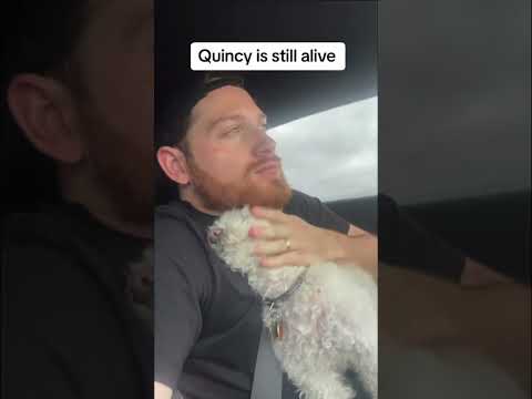 An Update on Quincy