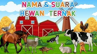 Download lagu Nama dan suara binatang untuk anak anak | Hewan Ternak | suara binatang animasi mp3