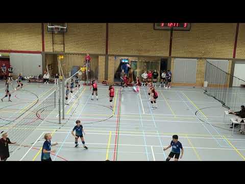 Kalinko MC1 vs Volevo MC1