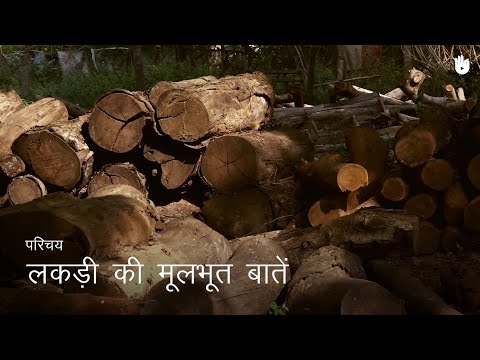 Basics of wood